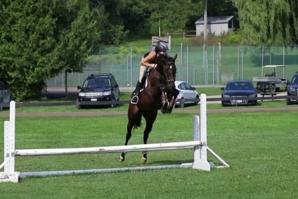 IMG_3711 IMG_3711